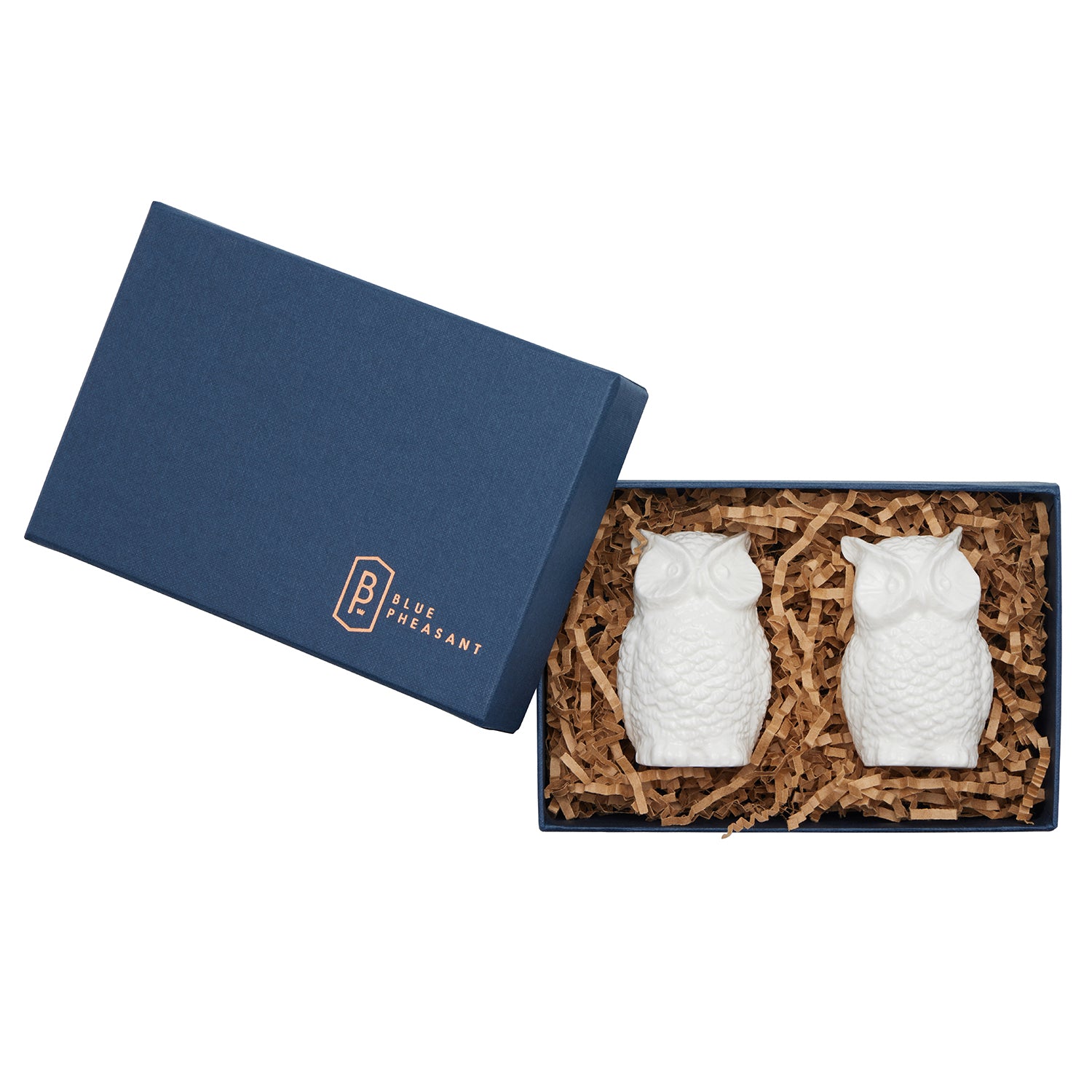 Toby White Glaze Porcelain Owl Salt and Pepper Shakers Set/2