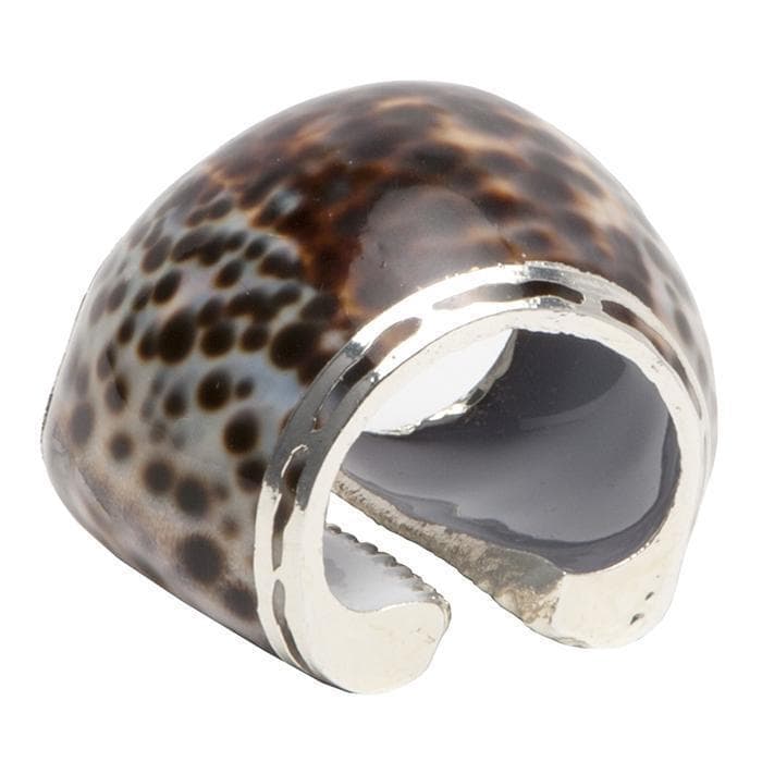 Wide Tiger Cowrie Shell Napkin Rings Set/4 – Hudson & Vine