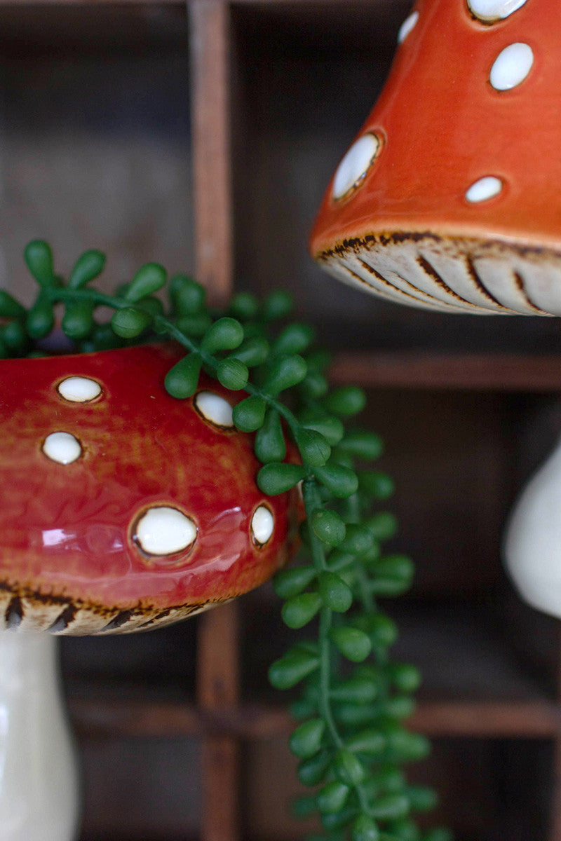 toadstool hanging planter Set Of 2 Ceramic Toadstool Wall Planters