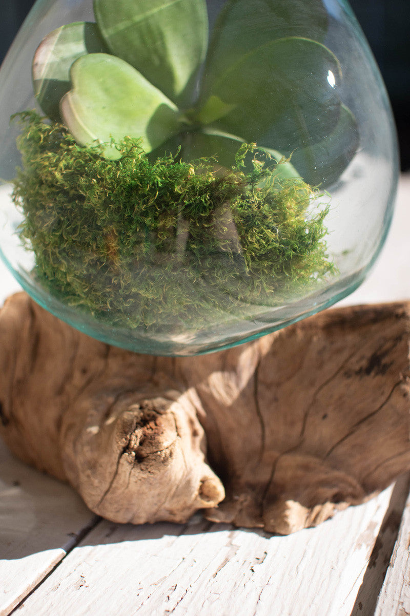 Large Blown Glass Bowl On Driftwood Base