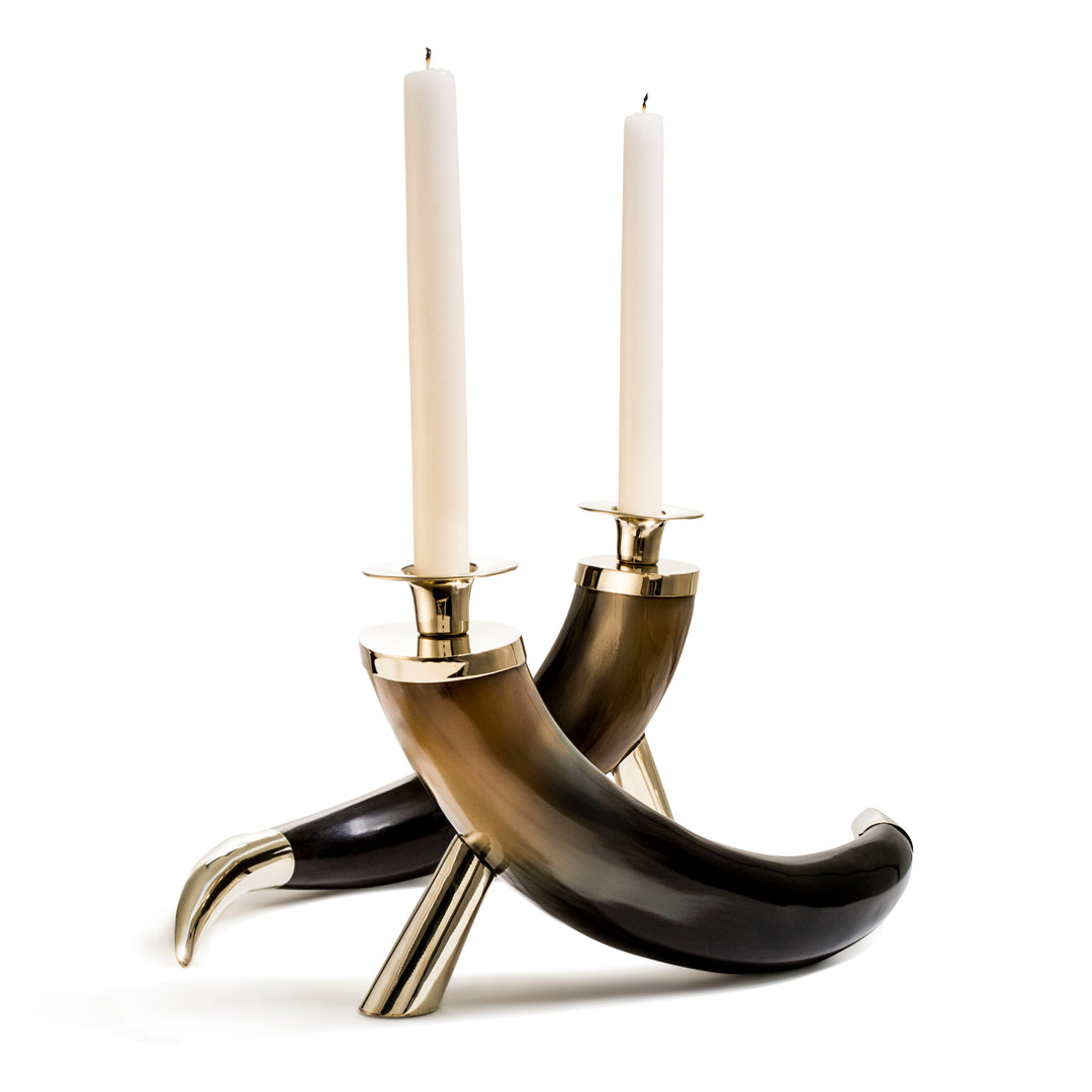 Ladorada Large Horn Candle Holder Set