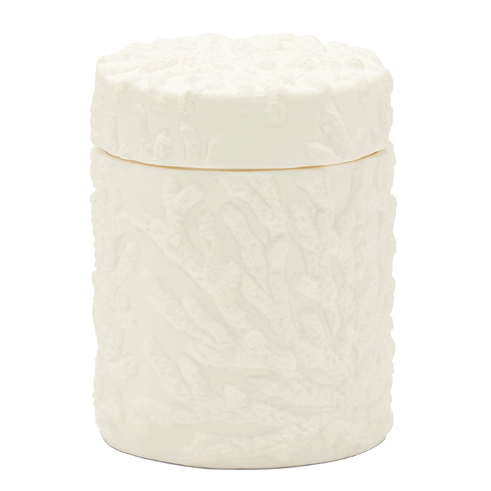 Alanya White Porcelain Small Canister