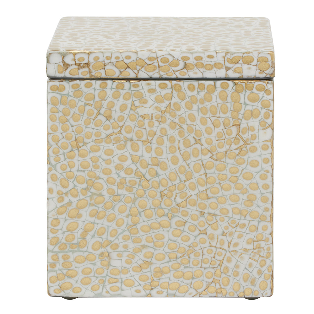 Callas Lacquered Bathroom Accessories (Gold/White)
