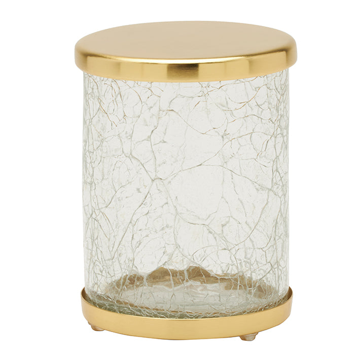 Pomaria Glass/Stainless Steel Small Canister (Brushed Gold)