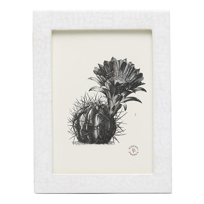 Westport White Lacquered Eggshell Picture Frame