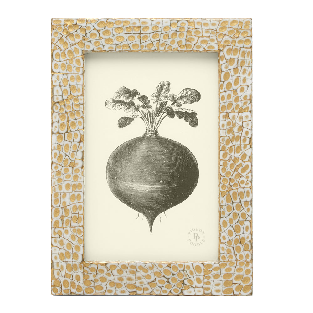Westport Lacquered Eggshell Picture Frames (Gold/White)