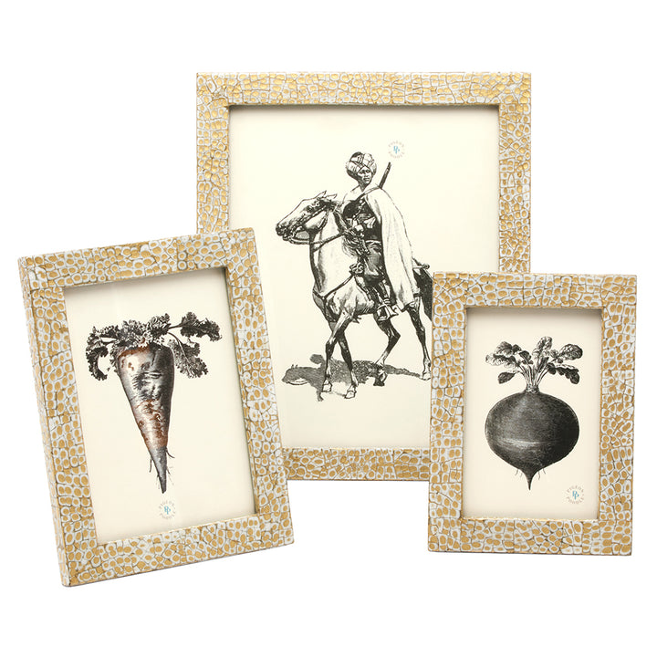 Westport Lacquered Eggshell Picture Frames (Gold/White)