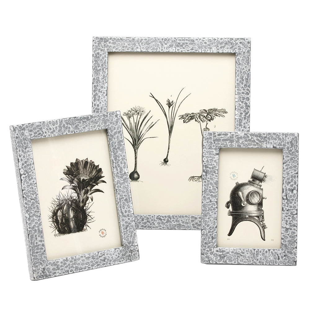 Westport Lacquered Eggshell Picture Frames (Silver/White)