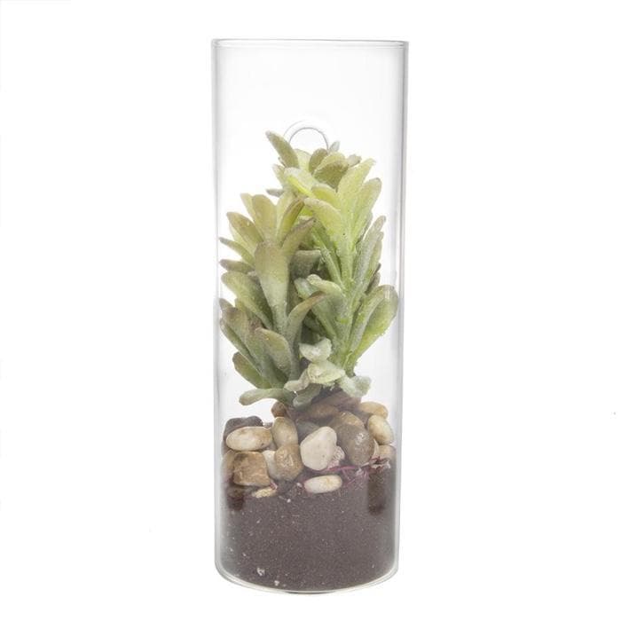 Glass Cylinder Wall Vase (Set of Two) - Hudson & Vine