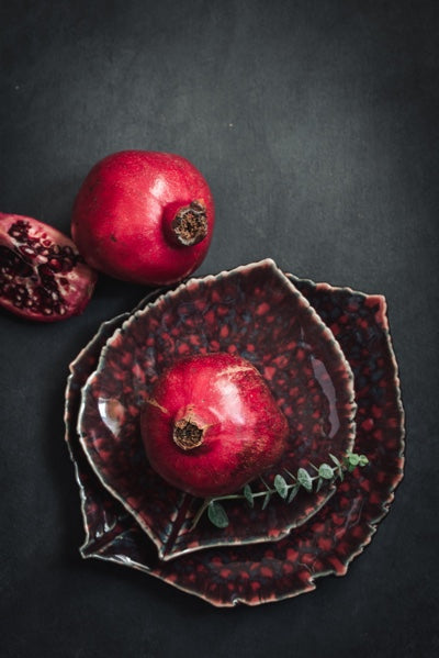 Riviera Fine Stoneware Dinnerware (Vigne) - Hudson & Vine