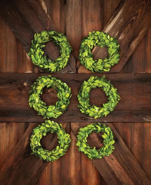 Mini Perserved Boxwood Wreaths (S/6)